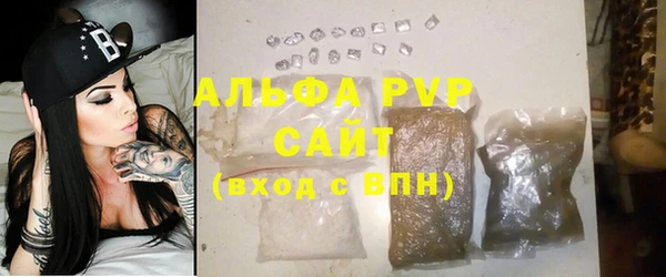сатива Сосновка