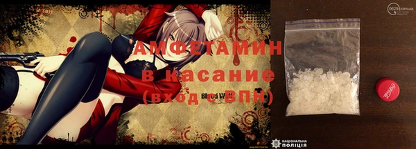 сатива Сосновка