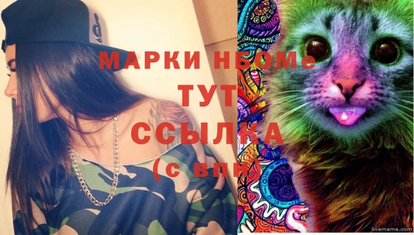трава Белокуриха